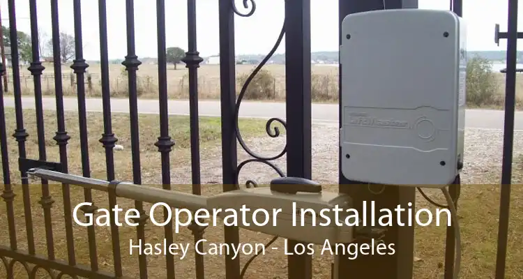 Gate Operator Installation Hasley Canyon - Los Angeles