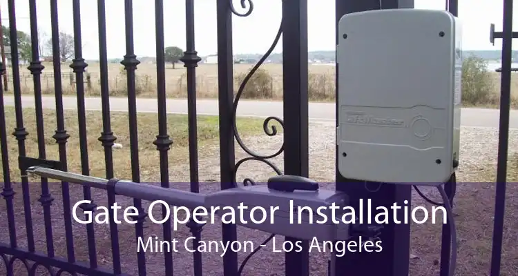 Gate Operator Installation Mint Canyon - Los Angeles