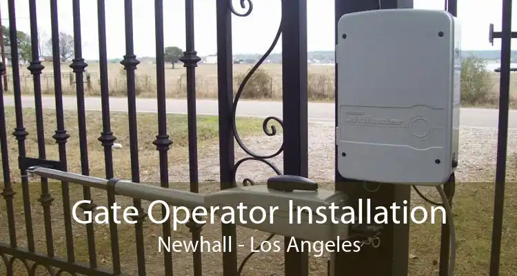 Gate Operator Installation Newhall - Los Angeles