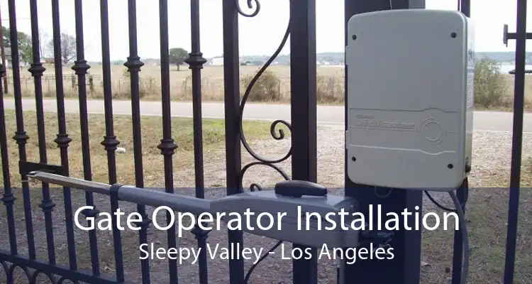 Gate Operator Installation Sleepy Valley - Los Angeles