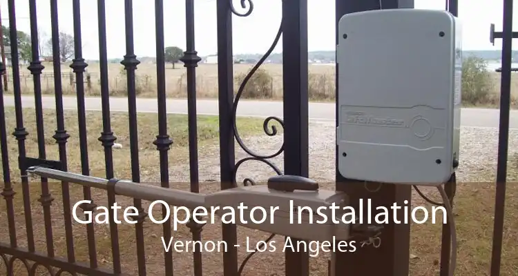 Gate Operator Installation Vernon - Los Angeles