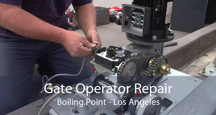 Gate Operator Repair Boiling Point - Los Angeles