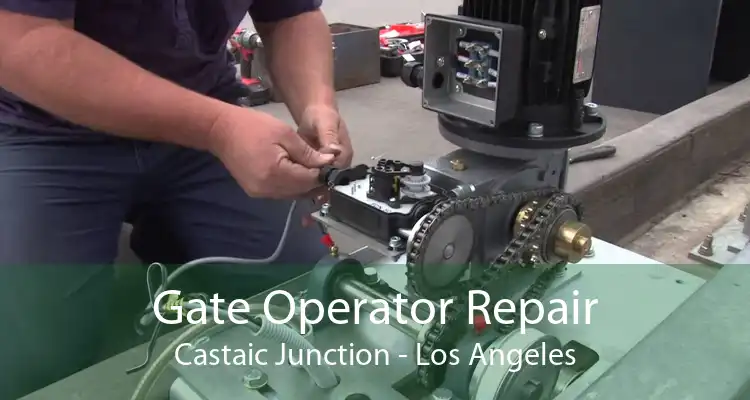 Gate Operator Repair Castaic Junction - Los Angeles