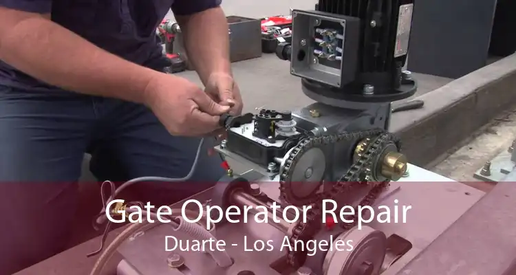 Gate Operator Repair Duarte - Los Angeles