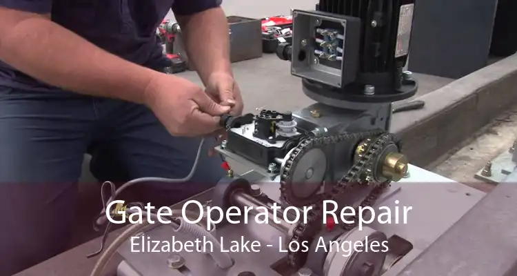 Gate Operator Repair Elizabeth Lake - Los Angeles