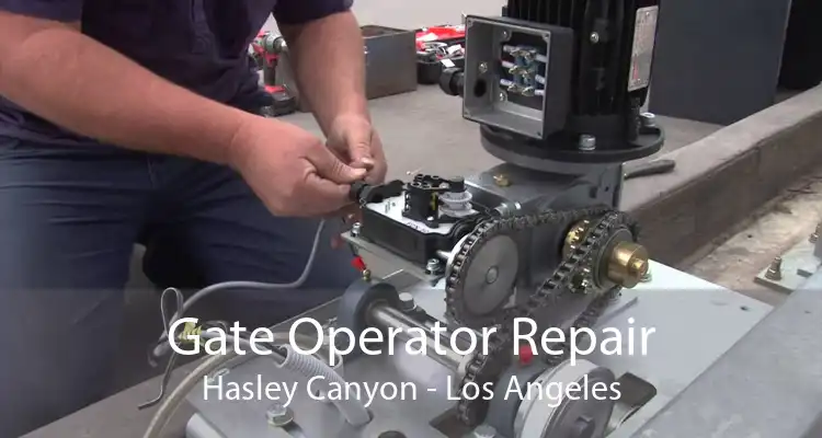 Gate Operator Repair Hasley Canyon - Los Angeles