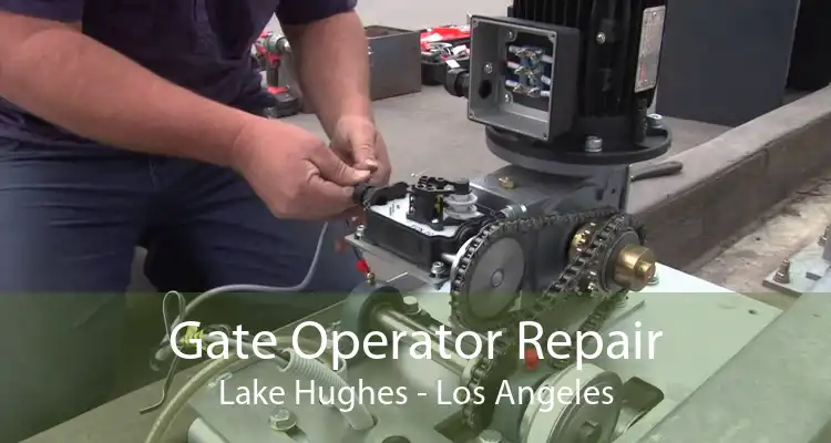 Gate Operator Repair Lake Hughes - Los Angeles