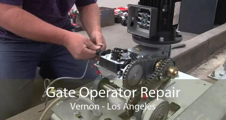 Gate Operator Repair Vernon - Los Angeles