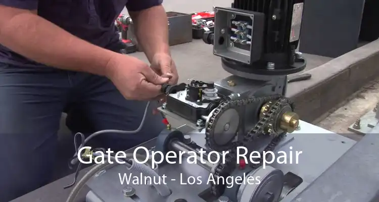 Gate Operator Repair Walnut - Los Angeles