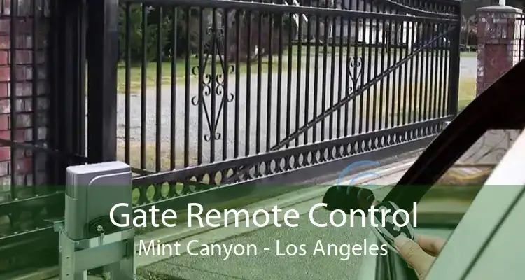 Gate Remote Control Mint Canyon - Los Angeles