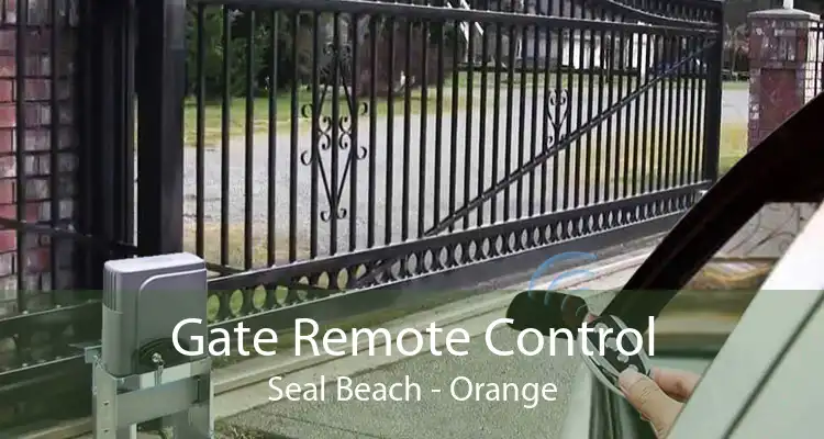 Gate Remote Control Seal Beach - Orange