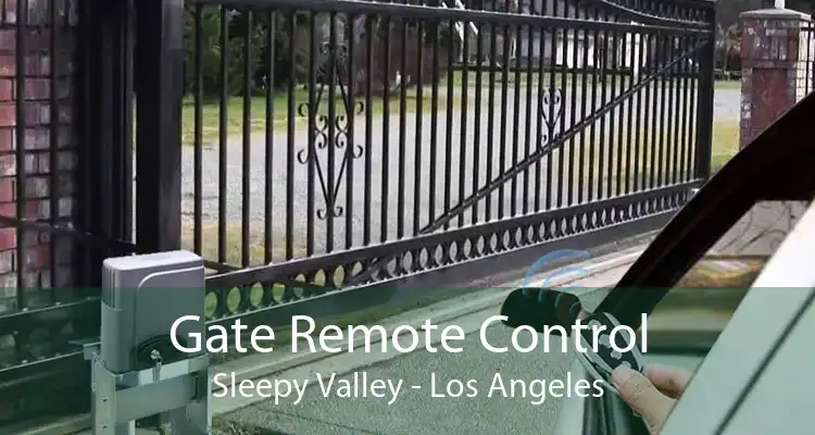 Gate Remote Control Sleepy Valley - Los Angeles