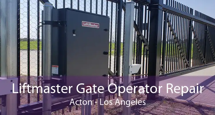 Liftmaster Gate Operator Repair Acton - Los Angeles