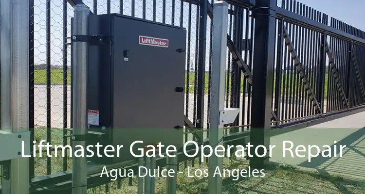 Liftmaster Gate Operator Repair Agua Dulce - Los Angeles