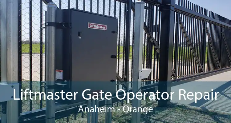 Liftmaster Gate Operator Repair Anaheim - Orange