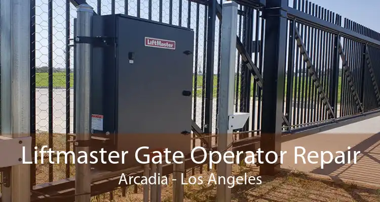 Liftmaster Gate Operator Repair Arcadia - Los Angeles