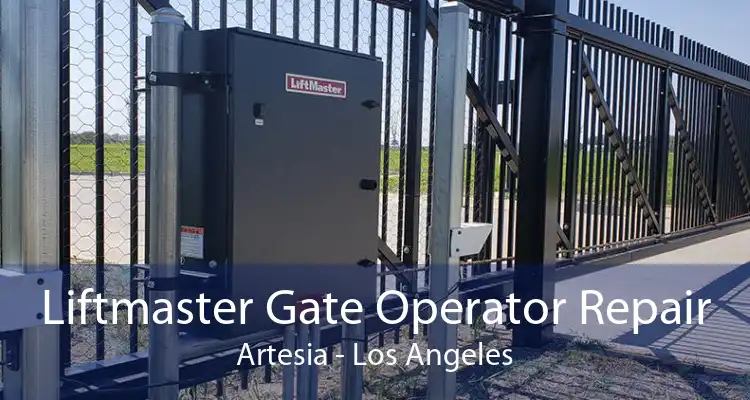 Liftmaster Gate Operator Repair Artesia - Los Angeles