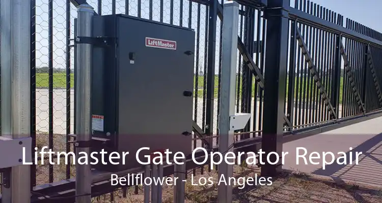 Liftmaster Gate Operator Repair Bellflower - Los Angeles