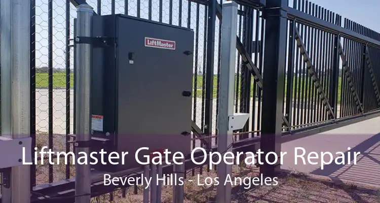 Liftmaster Gate Operator Repair Beverly Hills - Los Angeles