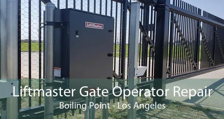 Liftmaster Gate Operator Repair Boiling Point - Los Angeles