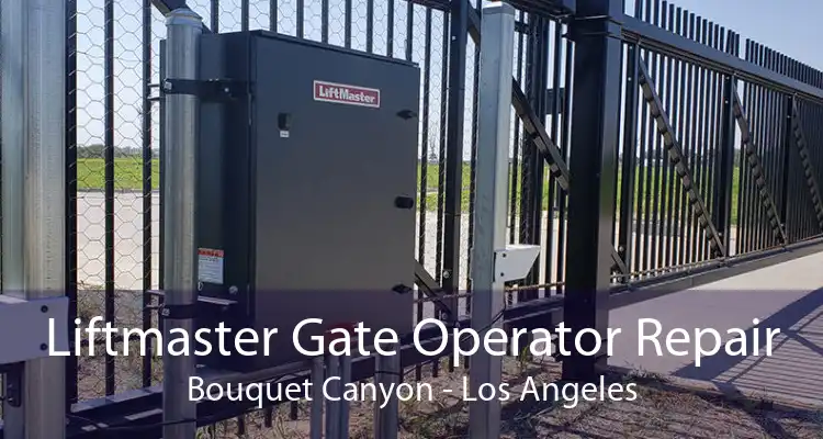 Liftmaster Gate Operator Repair Bouquet Canyon - Los Angeles