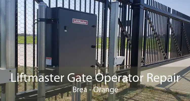 Liftmaster Gate Operator Repair Brea - Orange