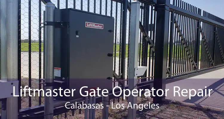 Liftmaster Gate Operator Repair Calabasas - Los Angeles