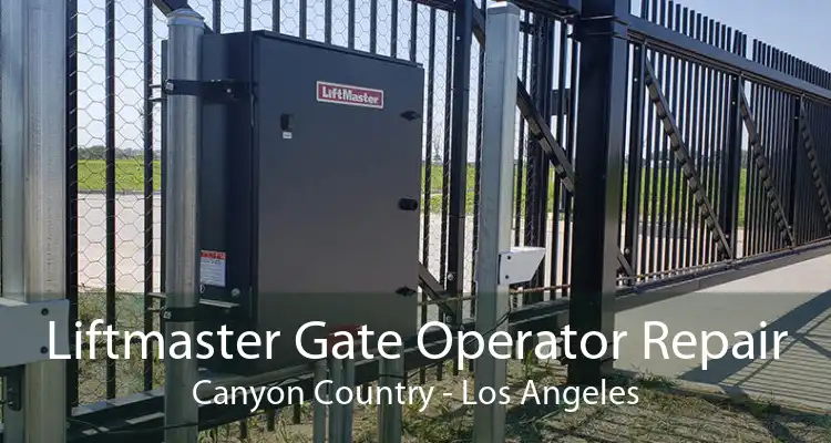 Liftmaster Gate Operator Repair Canyon Country - Los Angeles