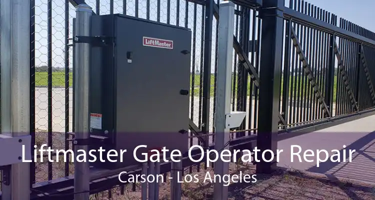 Liftmaster Gate Operator Repair Carson - Los Angeles