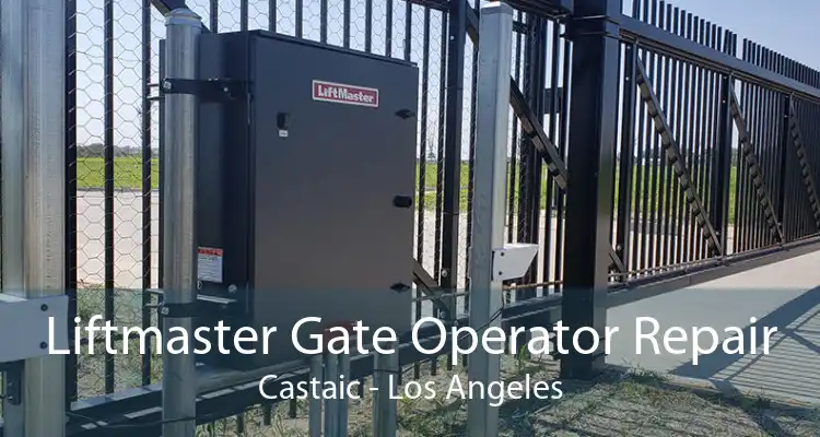 Liftmaster Gate Operator Repair Castaic - Los Angeles