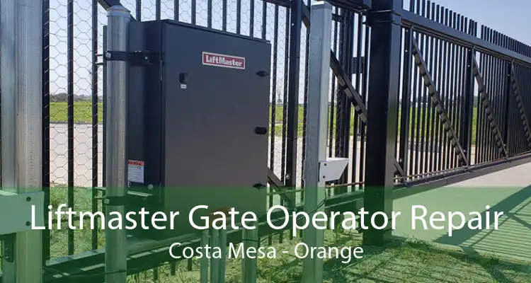 Liftmaster Gate Operator Repair Costa Mesa - Orange