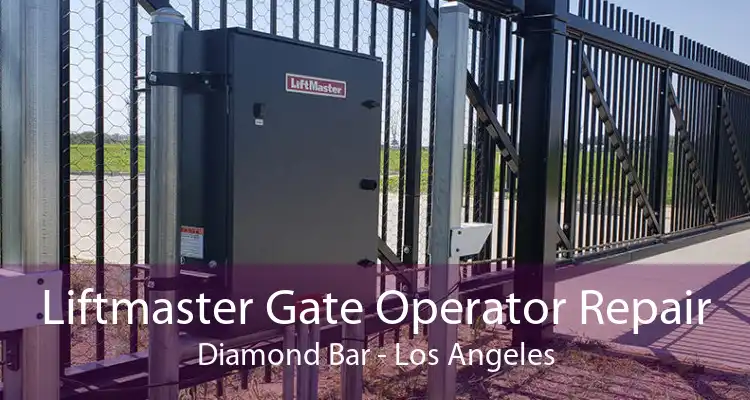 Liftmaster Gate Operator Repair Diamond Bar - Los Angeles