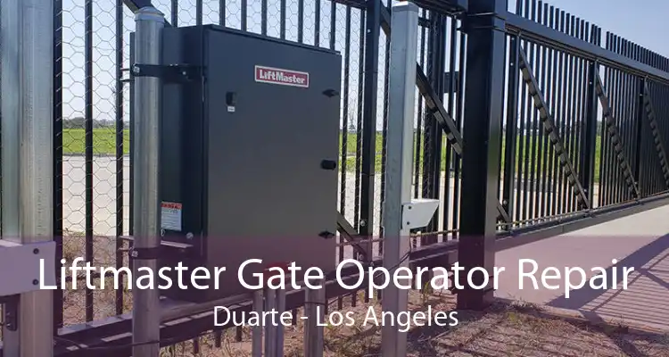 Liftmaster Gate Operator Repair Duarte - Los Angeles