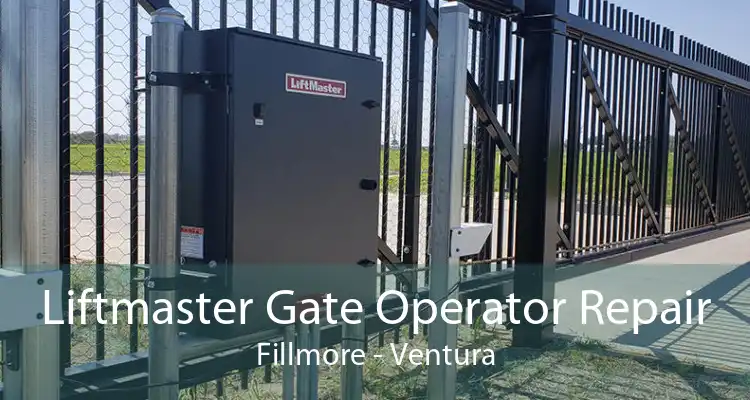 Liftmaster Gate Operator Repair Fillmore - Ventura