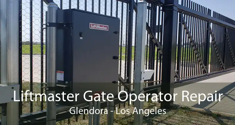 Liftmaster Gate Operator Repair Glendora - Los Angeles