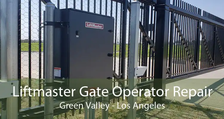 Liftmaster Gate Operator Repair Green Valley - Los Angeles