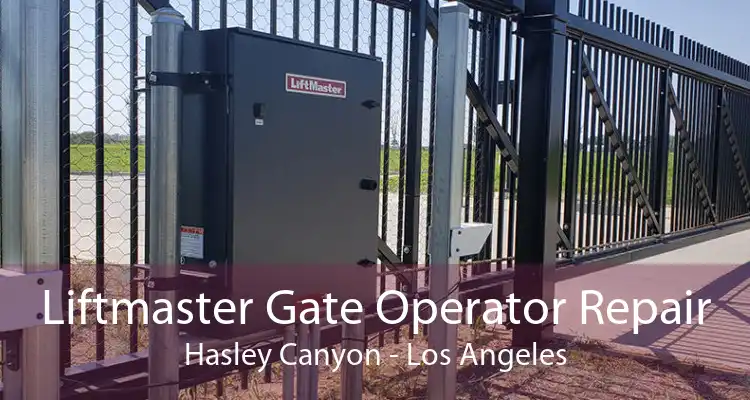 Liftmaster Gate Operator Repair Hasley Canyon - Los Angeles