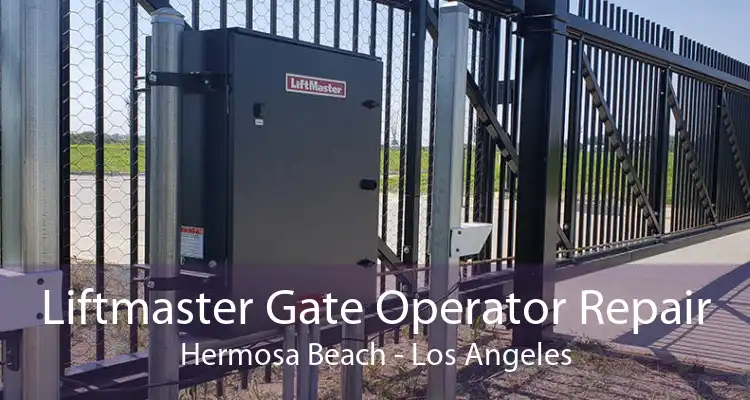 Liftmaster Gate Operator Repair Hermosa Beach - Los Angeles