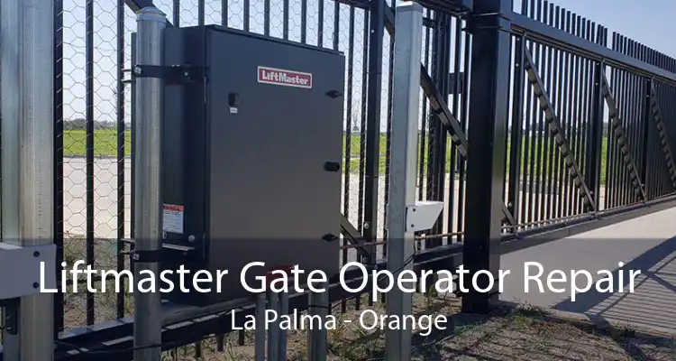 Liftmaster Gate Operator Repair La Palma - Orange