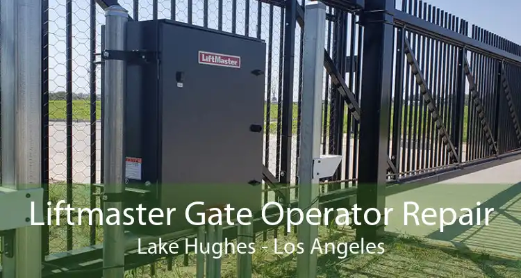 Liftmaster Gate Operator Repair Lake Hughes - Los Angeles