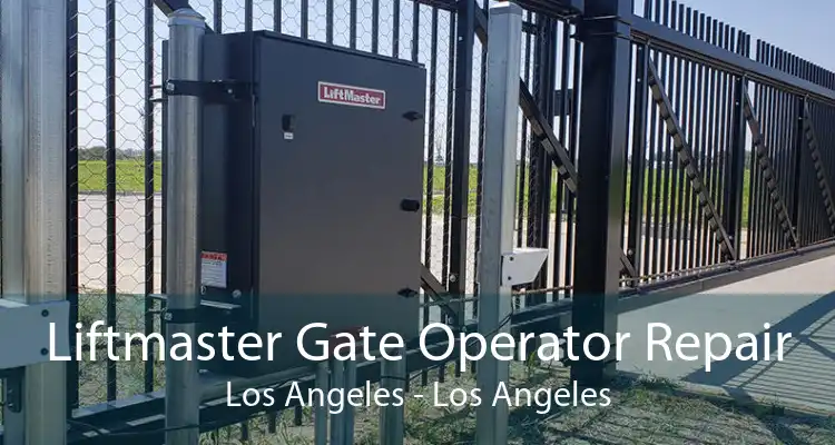 Liftmaster Gate Operator Repair Los Angeles - Los Angeles