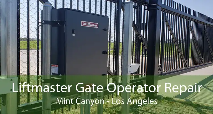 Liftmaster Gate Operator Repair Mint Canyon - Los Angeles