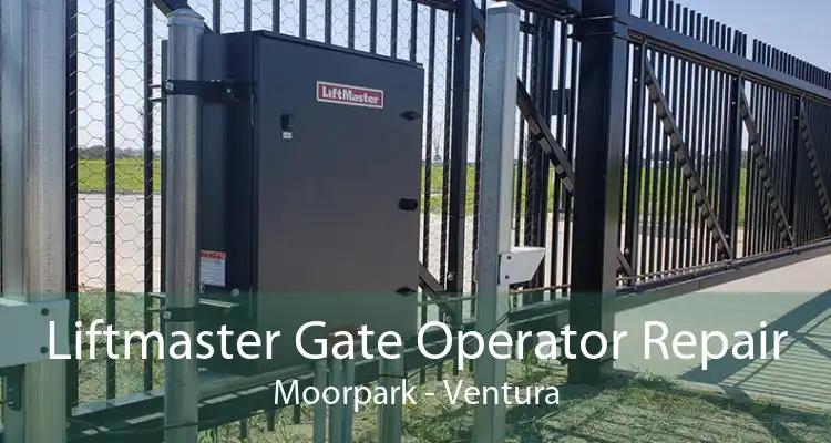 Liftmaster Gate Operator Repair Moorpark - Ventura