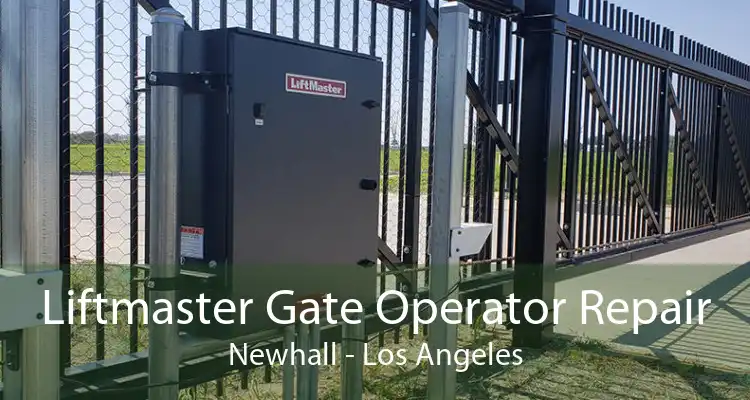 Liftmaster Gate Operator Repair Newhall - Los Angeles