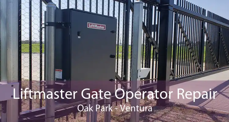 Liftmaster Gate Operator Repair Oak Park - Ventura