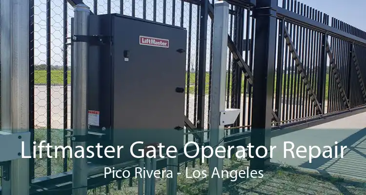 Liftmaster Gate Operator Repair Pico Rivera - Los Angeles