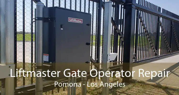 Liftmaster Gate Operator Repair Pomona - Los Angeles