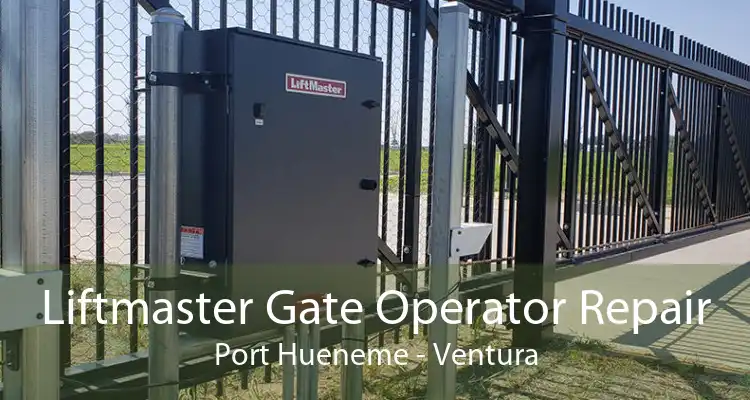 Liftmaster Gate Operator Repair Port Hueneme - Ventura