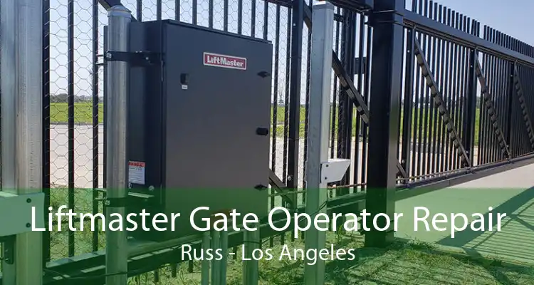 Liftmaster Gate Operator Repair Russ - Los Angeles