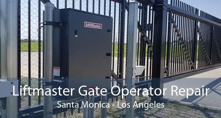 Liftmaster Gate Operator Repair Santa Monica - Los Angeles